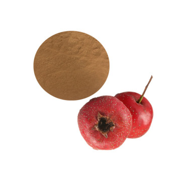 Hawthorn Leaves Extract powder