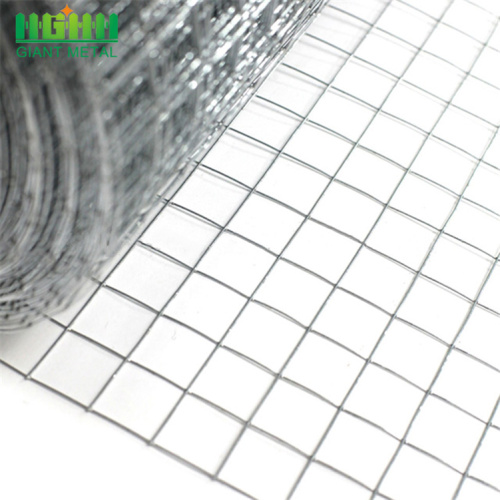 1/4 inci Galvanized Heavy Gauge Welded Wire Mesh