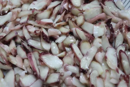 Frozen boiled octopus slice