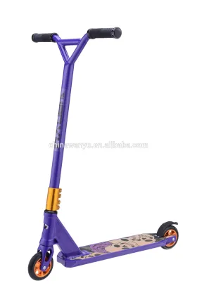 new Torq Aluminium scooter