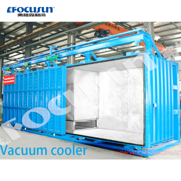 Focusun Hot Sale Sale Vocuum Hool Machine για φρούτα, λαχανικά, μαγειρεμένα τρόφιμα και κρέας