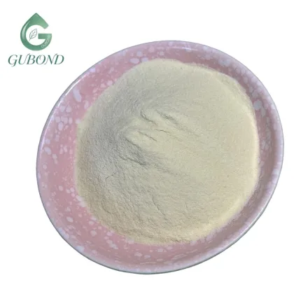 Sunflower Seed Protein for Commercial Food Manufacturing