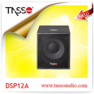 DSP12A Active Peofessional Performance Speaker