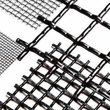 Galvanized Square Wire/Net (Factory)