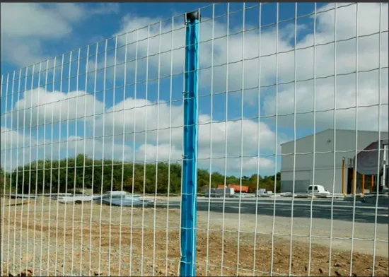 Iron Holland Style Fence