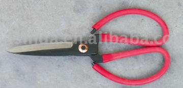 Common Scissor