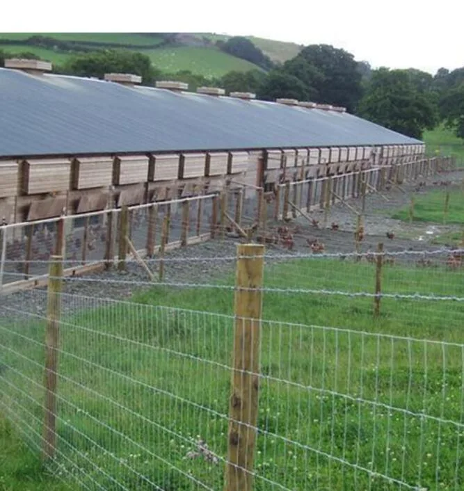 High Tensile Long Using Life Heavy Zinc Coated Livestock Fence