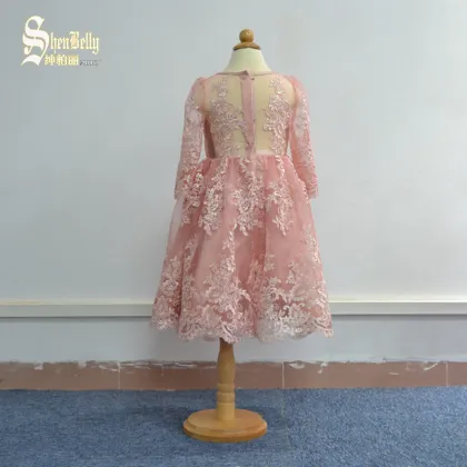 Pink lace mesh long sleeve baby frock style baby dress girls children dress