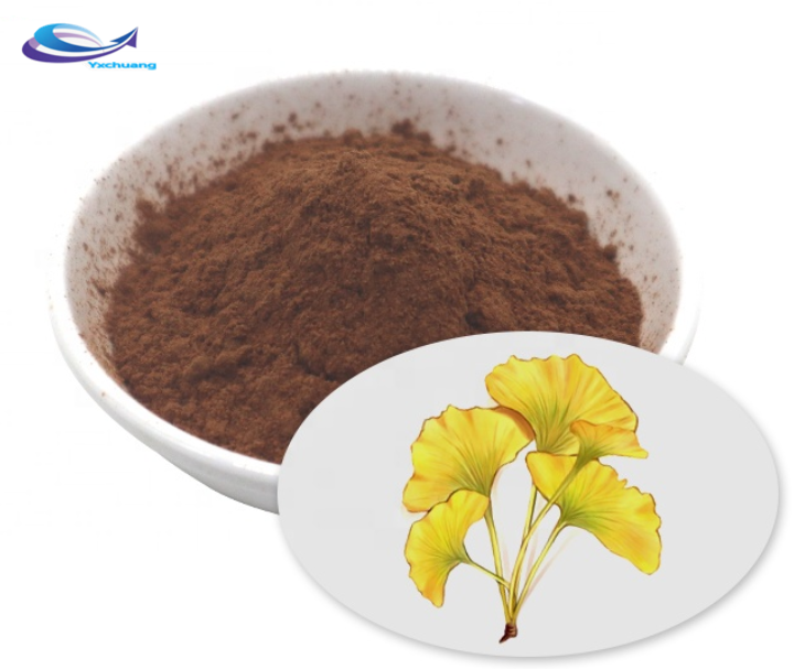 Organic Favorable Natural Herb Ginkgo Biloba Extract