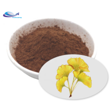 Organic Favorable Natural Herb Ginkgo Biloba Extract