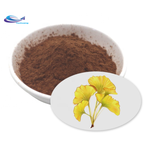 Organic Favorable Natural Herb Ginkgo Biloba Extract