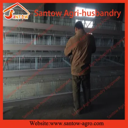 Hot sale poultry farms used chicken layer cages