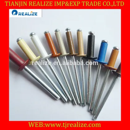 Good factory China fasteners beige color blind rivets