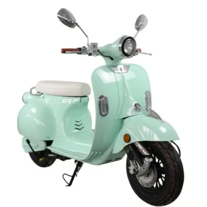 China 1000W Moped Style Electric Bike