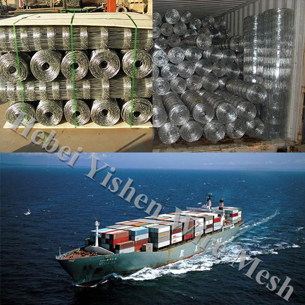 shipping and packing shipping and packing