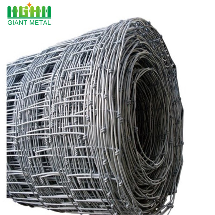 Galvanized Steel Wire Hinge Joint Knot Farm Fence
