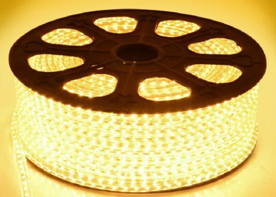 AC110V LED Tape Light LED Strips Factory Direct Sale