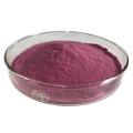 Natural Organic Blueberry Juice Powder