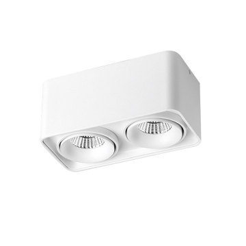2x10w سطح مستطيل شنت أدى ضوء أسفل