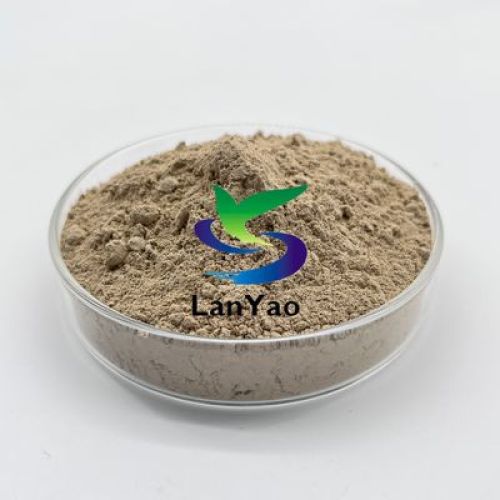 Bacteria for Industrial and Domestic Wastewater Treatment