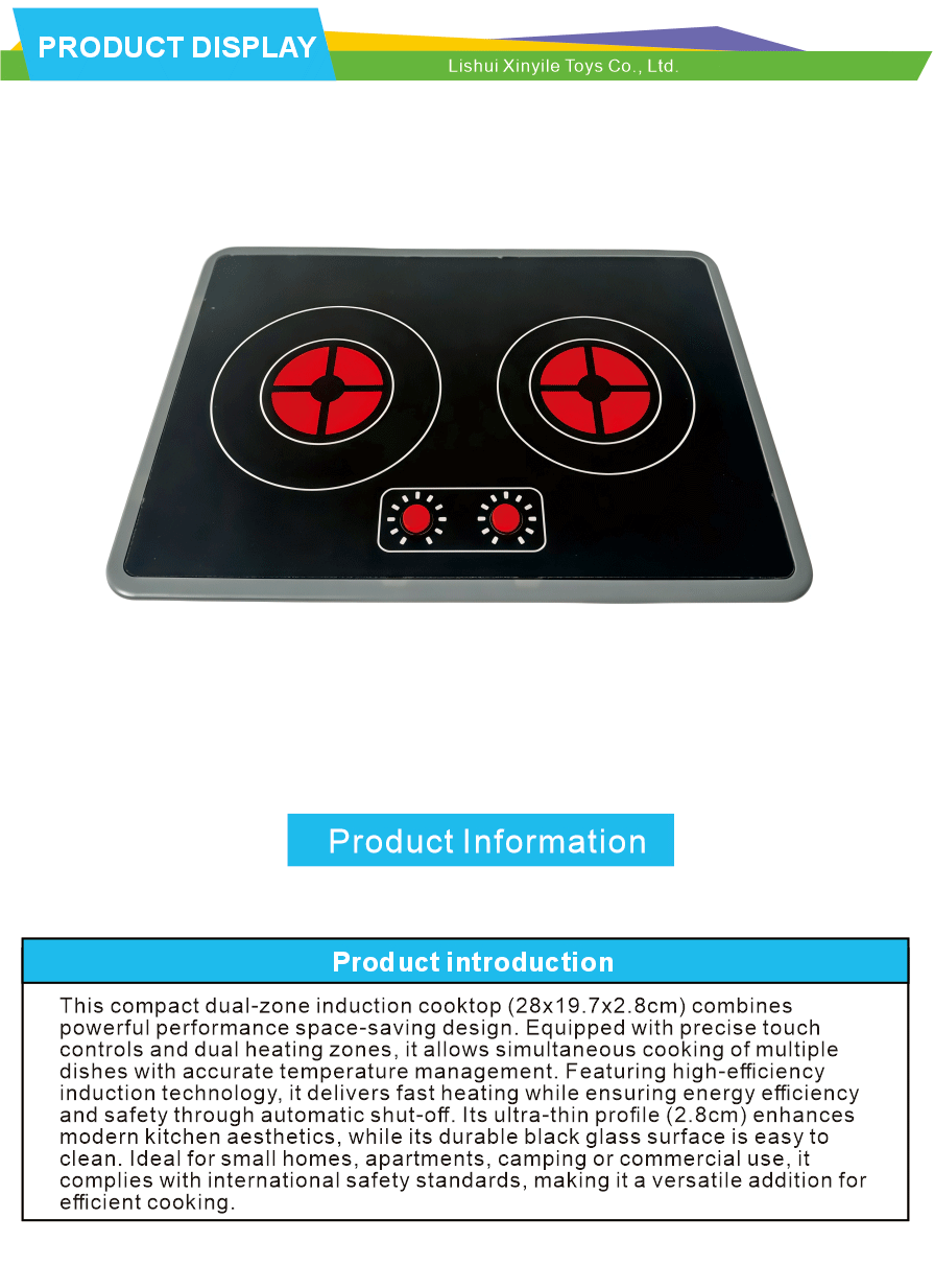 Plastic Induction Cooker Mini