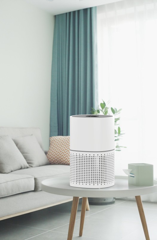 Professional Supplier Smart Wifi air purifier Portable Indoor air purifiers air Cleaner