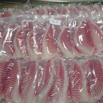 Kinesiska frysta tilapiafilé 5-7oz fisk IWP 100%NW