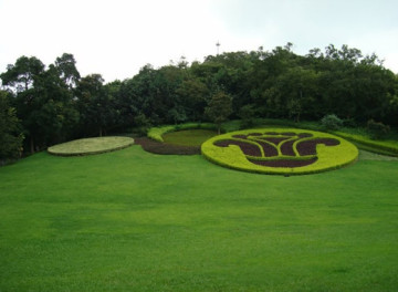 Artificial Grass for Football Ground or Sports Leisure 