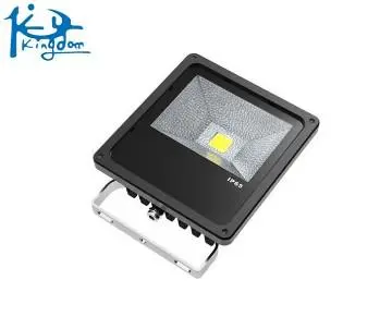 LED  floodlighting 20W