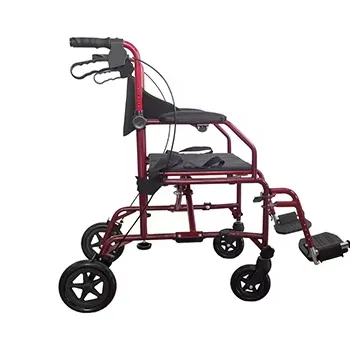 2-in-1 Transport Chair