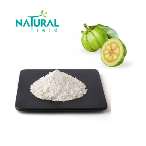 Garcinia Cambogia Extract For Losing Weight 60% garcinia cambogia fruit extract powder Supplier