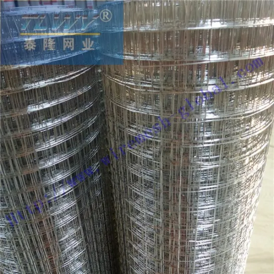 welded rabbit cage wire mesh