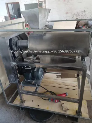 Double-Channel Mango Beat Machine / Mango Pulping Machine / Fruit Pulp Machine