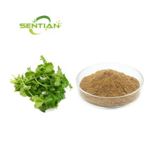 Coriander Extract Powder Sale