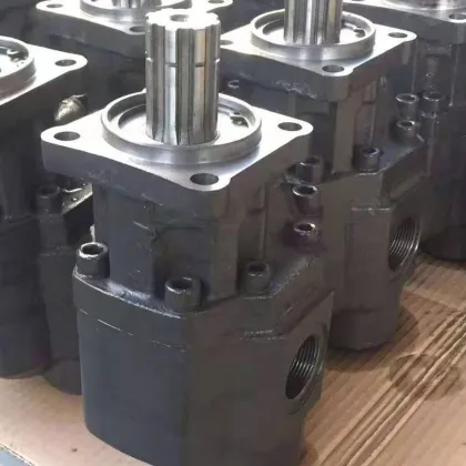 Hydraulic Gear Pump Hyva for Dump Trailers