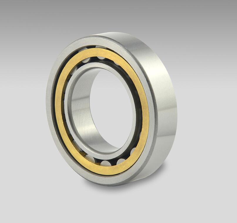 SPHERICAL ROLLER BEARINGS FKD