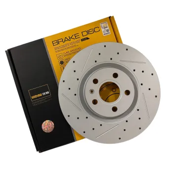 Customizable High Carbon Anti-Shake Brake Disc 204000244AA 204000453AA for EXEED TXL