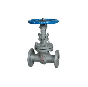 Soft Sealing Gate Valve
