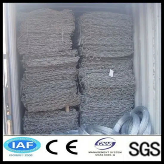 Supply High Quality Chicken/Bridges/Stone Gabion Wire Mesh with Factory