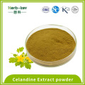 Analgésico 20: 1 Celandine Extract Powder