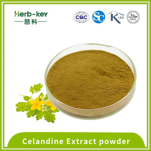 Herbal Medicine Analgesic 20:1 Celandine extract powder Manufactory