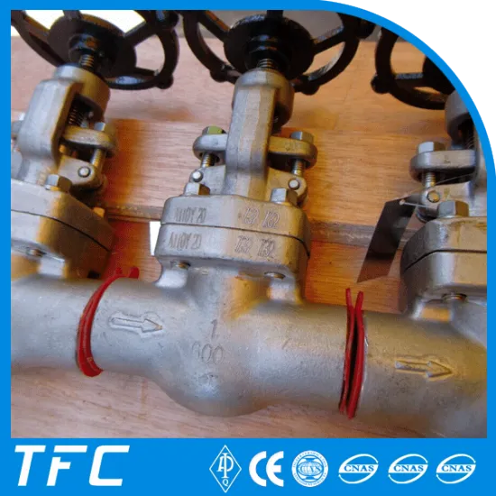 Alloy 20 API602 socket weld globe valve