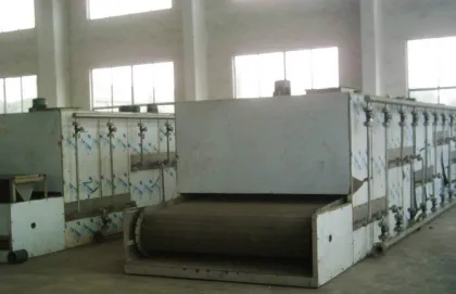 Dw Series Mesh Belt Dryer for Dehydrated Vegetable