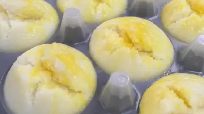 Steamed Cake Machine-yufeng
