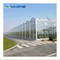 Greenhouse agricole pour la plantation de tomates / concombres