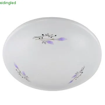 Lily design Kitchen Ceiling Lights/Bathroom Ceiling Light