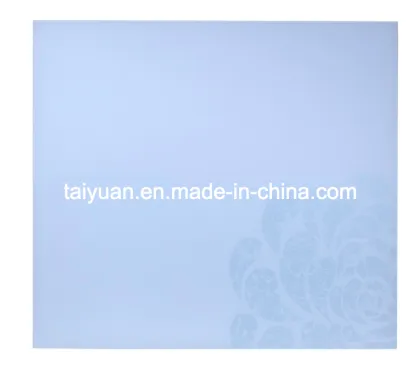 Hisense Refrigerator Glass-- Tempered & Silk Screen Printing Glass