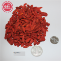 Sun dried goji berries with 18 amino acids