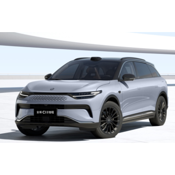 2024 Leapmotor C11 515 Electric Intelligence Edition