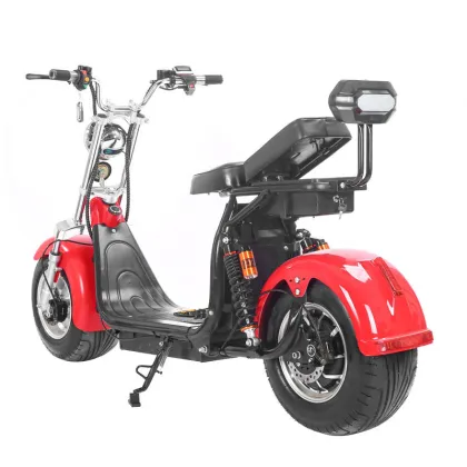 Made in China Speed Waterproof Electric Scooter - Electric Two-Wheeled Vehicle